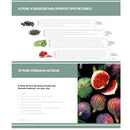 MASCARA SO PURE RESTORE 300ML